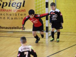 mini-IMG_5516